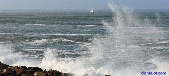 Westport